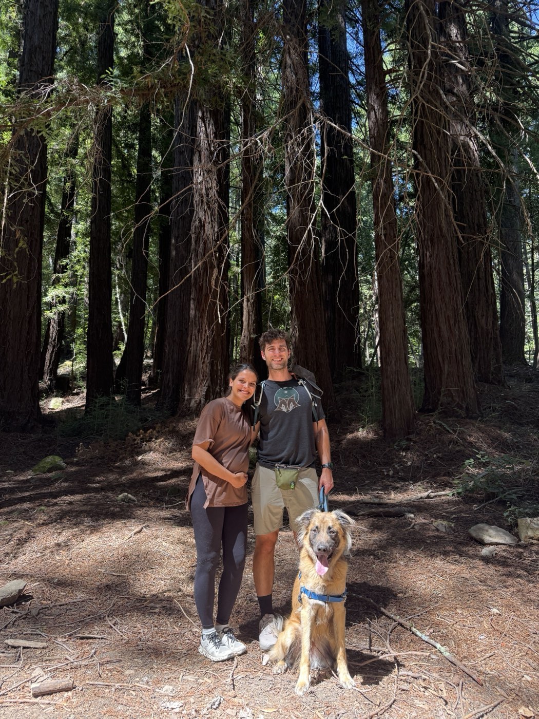 The parents-to-be hiking in the redwood forest with their dog